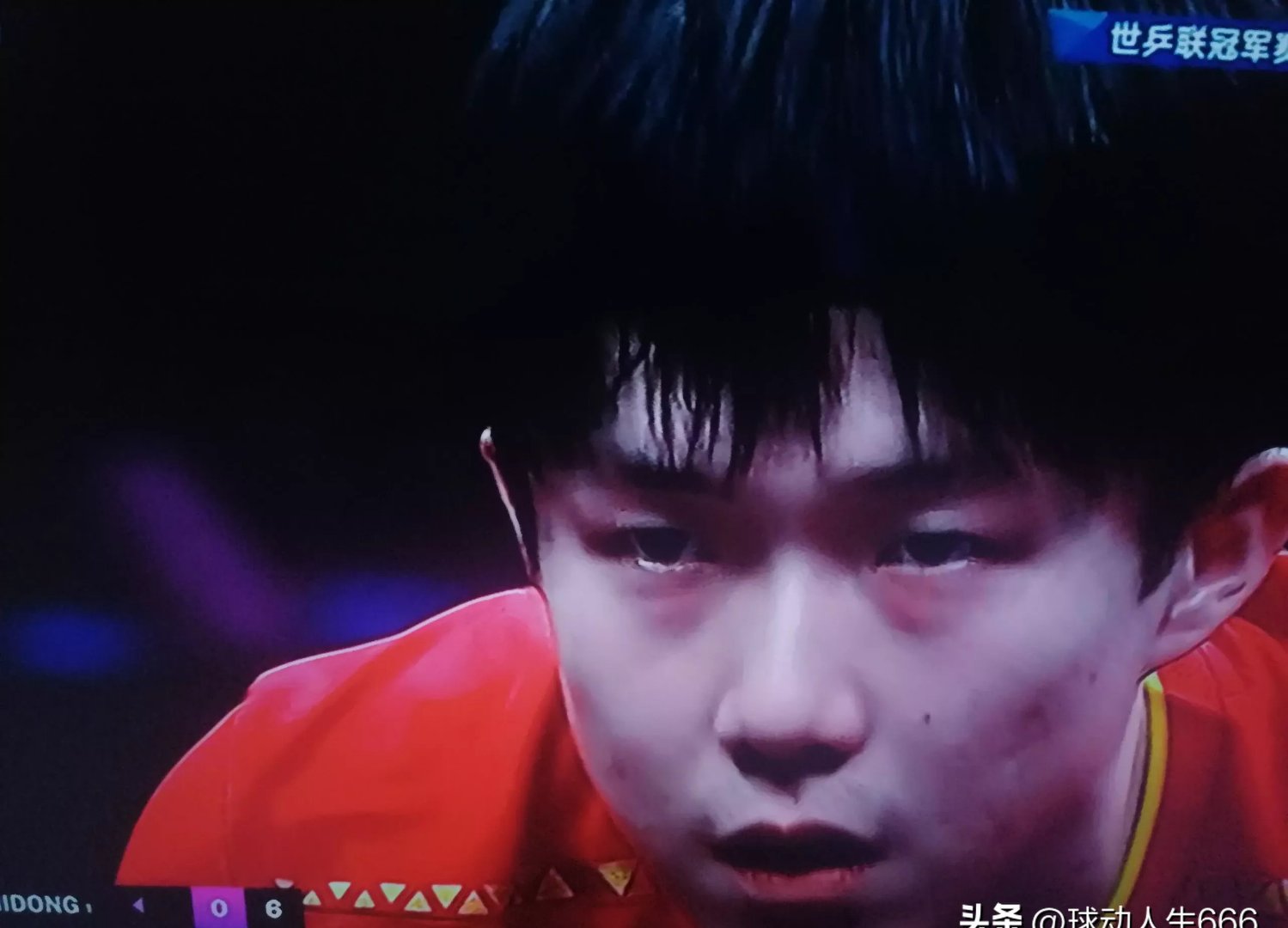 莎拉波娃迎来七赛季出色发挥，切尔西观众热烈欢呼！的简单介绍